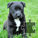 Jigsaw Puzzles: Dogs and Puppi