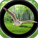 Forest 3D Birds Hunting - Snip