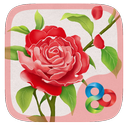 Blossom GO Launcher FREE Theme