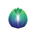 قبلی - رژیم و برنامه تمرینی رایگان