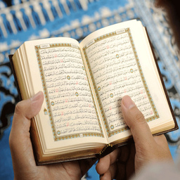 Quran recitation training