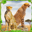 Cheetah Game Wild Animal Games