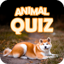 Guess Animal Image Quiz 2021