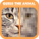 Guess the animal Picture Quiz