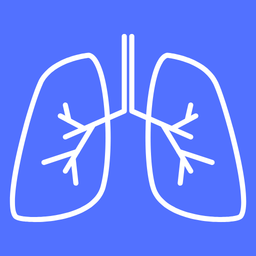 Healthy Lungs