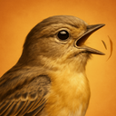 PawTunes-Animal-Soundtracks