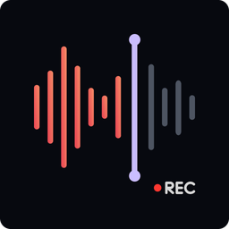 Voice Recorder & AI Summarize