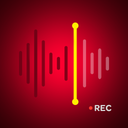 Voice Recorder & AI Summarize