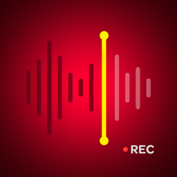 Voice Recorder & AI Summarize