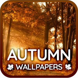 Autumn wallpapers 4K for phone