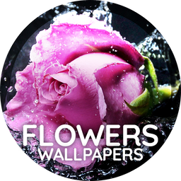 Flowers wallpaper for phone