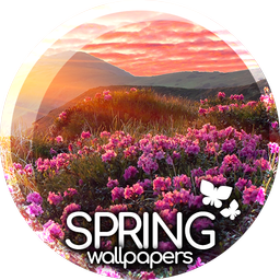 Spring wallpapers for phone