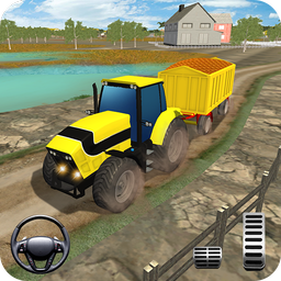 Large Rear Wheels Trolley Sim