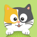 Cat Bounce - Physics Puzzles