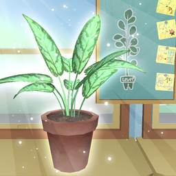 Houseplant