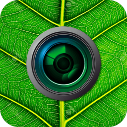 برگام | تشخیص نام گیاه با دوربین