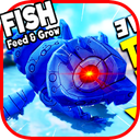 Tips For Feed Fish And Grow