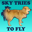 Sky tries to fly