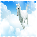 Wallpapers White Horse