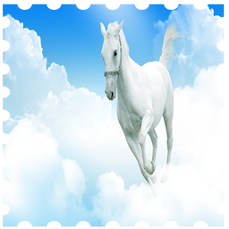 Wallpapers White Horse