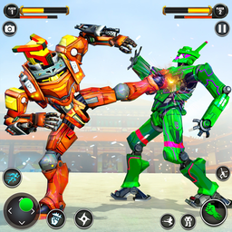Kung Fu Karate Robot Fighting
