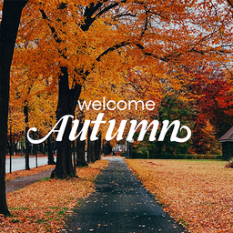 Autumn Wallpaper