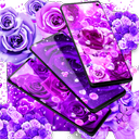Purple rose live wallpaper