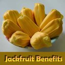 Health Benefits of Jackfruit