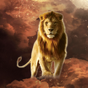 Lion Wallpaper HD