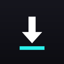 Download Tiktok No Watermark