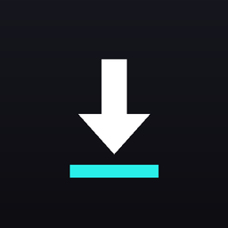 Download Tiktok No Watermark