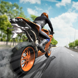 Highway Traffic Bike Rider - E