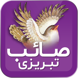 صائب تبریزی