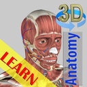 3D Bones and Organs (Anatomy)