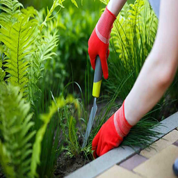 باغبان حرفه ای باش