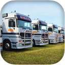 Car Transporter Parking 3D