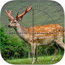 Deer Sniper: Hunting Game
