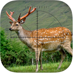 Deer Sniper: Hunting Game