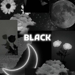 Black Aesthetic Wallpapers