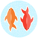 Fish for Cats - Cat Fishing
