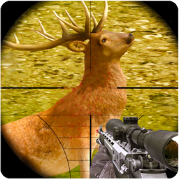 Deer Hunting