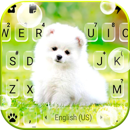 Cute White Puppy Keyboard