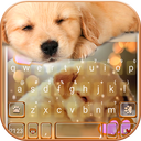 Dynamic Sleeping Puppy Keyboar