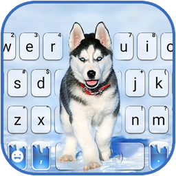 Ice Husky Keyboard Background