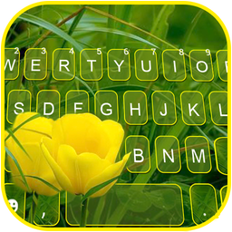 Summer Tulips Keyboard Backgro