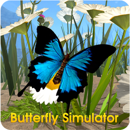 Butterfly Simulator