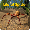 Life of Spider
