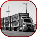Cargo Truck Transporter: Fork