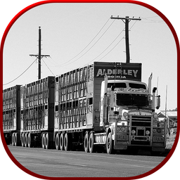 Cargo Truck Transporter: Fork