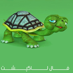 Horoscope turtles